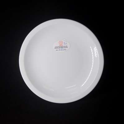 Stock  cheaper hotel porcelain 9.5" Narrow Edge hotel used dinner plates