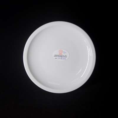 Belgium hotel porcelain 8" wholesale ceramic white dinner plate